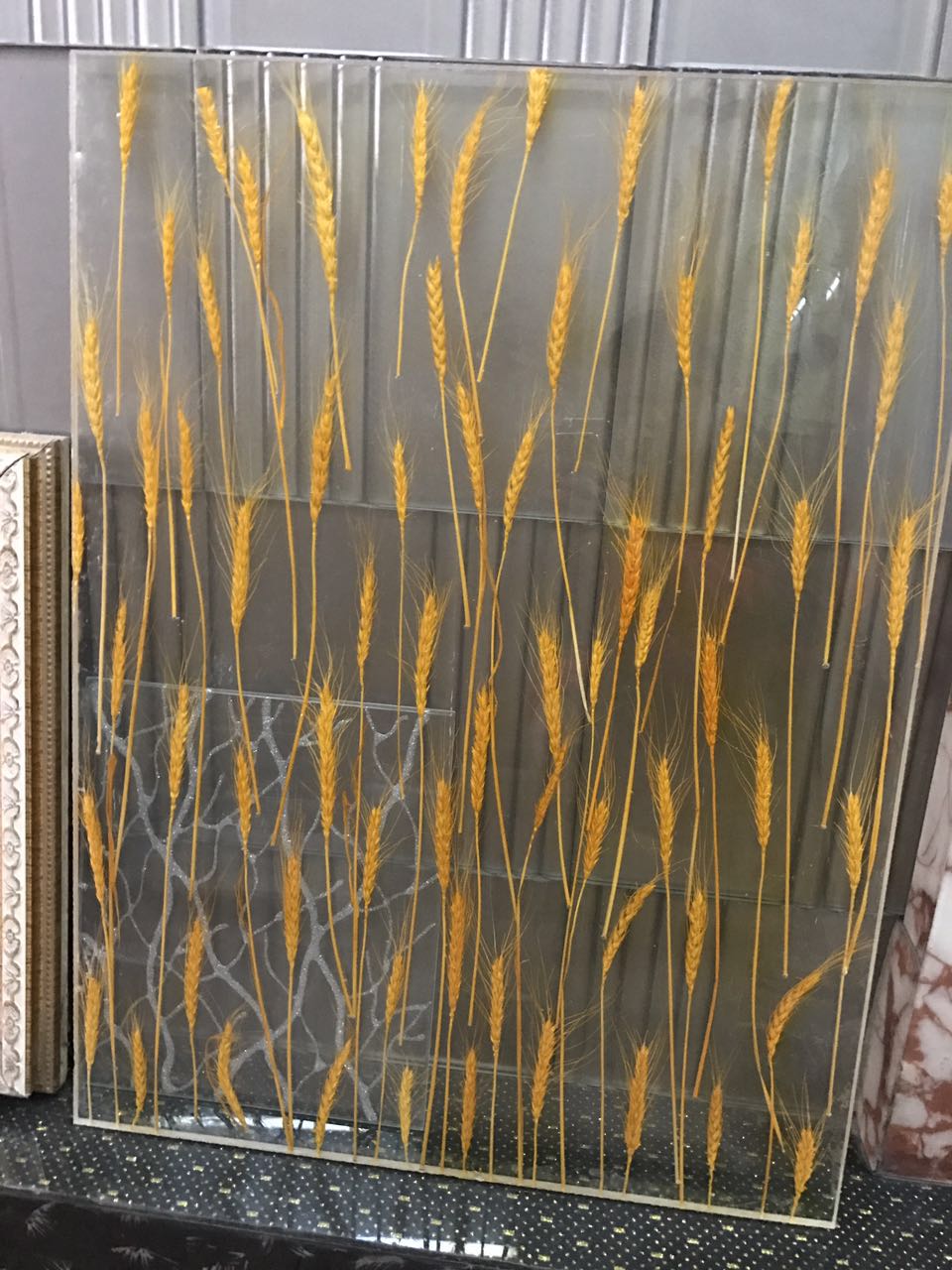 风吹麦浪